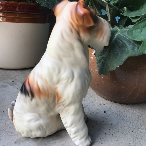 Vintage wire haired fox terrier - Picture 8 of 16